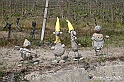 VBS_3223 - Mango (Cuneo) - Gnomovia